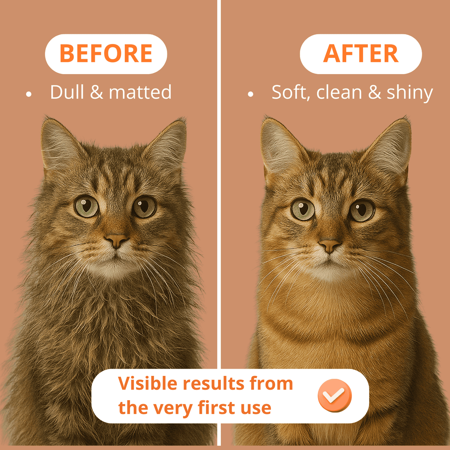 Kliry™ 3-in-1 steam brush for pets.