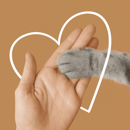 Kliry™ 3-in-1 steam brush for pets.